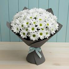 Букет цветов из:  Хризантемы в Хвойной