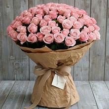 Букет 151 Роза Роуз #REPLACE_PRED# Хвойной