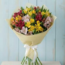 Букет цветов из:  Альстромерии в Хвойной